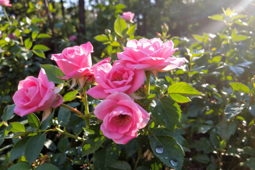 �1760349 �������(a): ����������:1920x1280